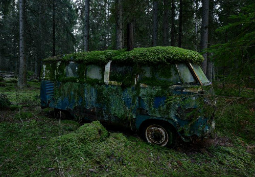 VW KombieVan lost in Forest. | Old Guv Legends